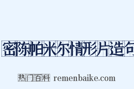 密陈帕米尔情形片造句是什么意思的图片